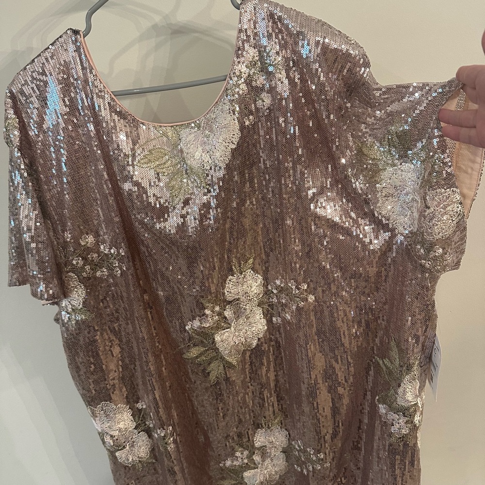 Plus size NWT Arula sequined dress